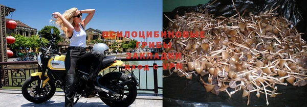 PSILOCYBIN Михайловск